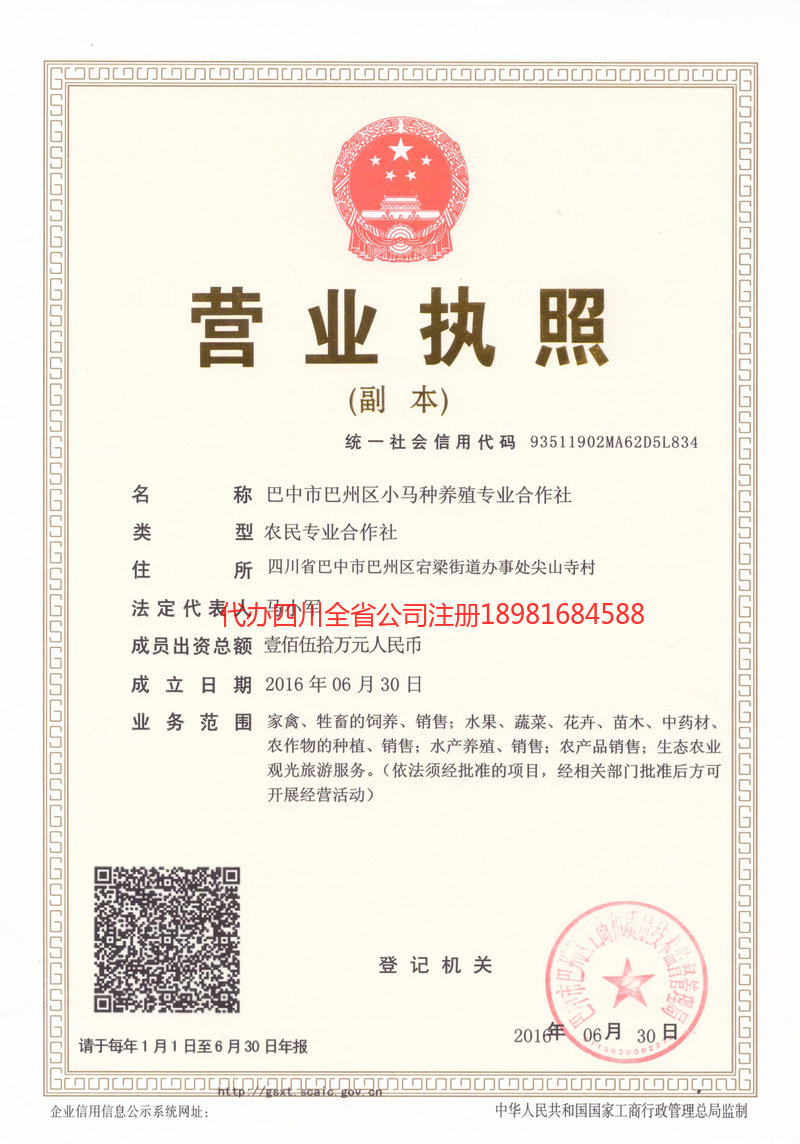 德州德州小马种养殖专业合作社